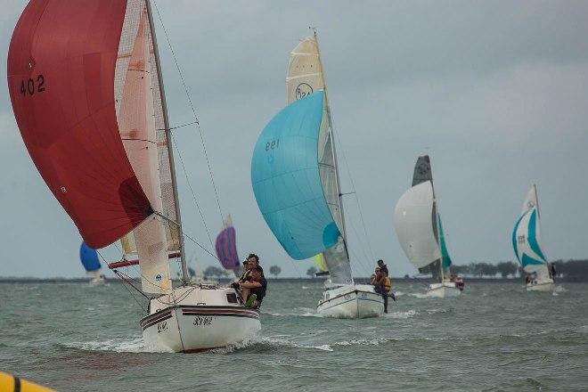 Lowana V leading the charge - RL24 Australian Championship © Julie Geldard VidPicPro.com